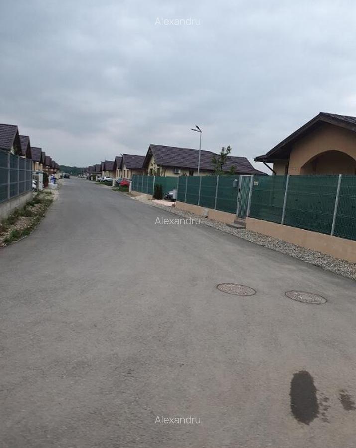Lot teren Balotesti,langa case noi-50 m de asfalt 600mp - 8