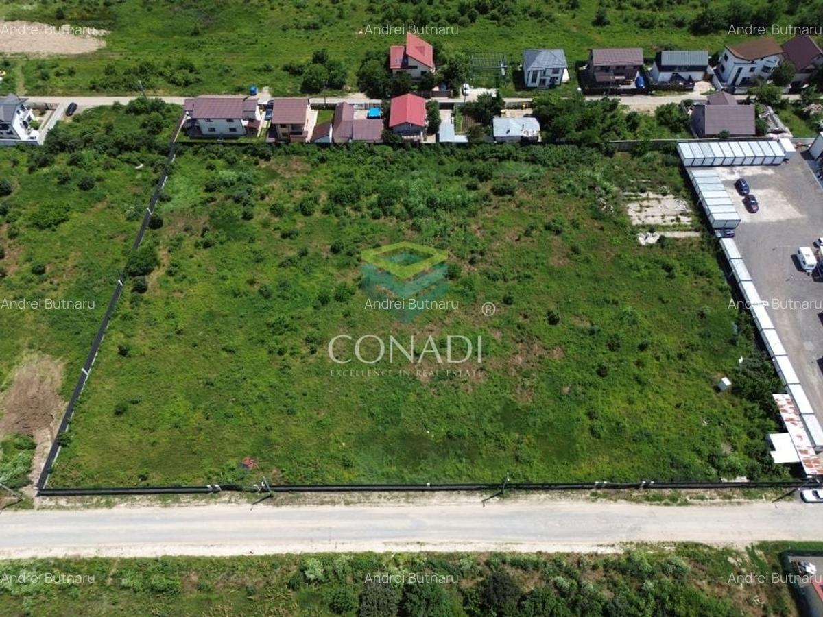 Teren Mogosoaia -  6.000 mp - PUZ aprobat pentru vile P+1E - 2