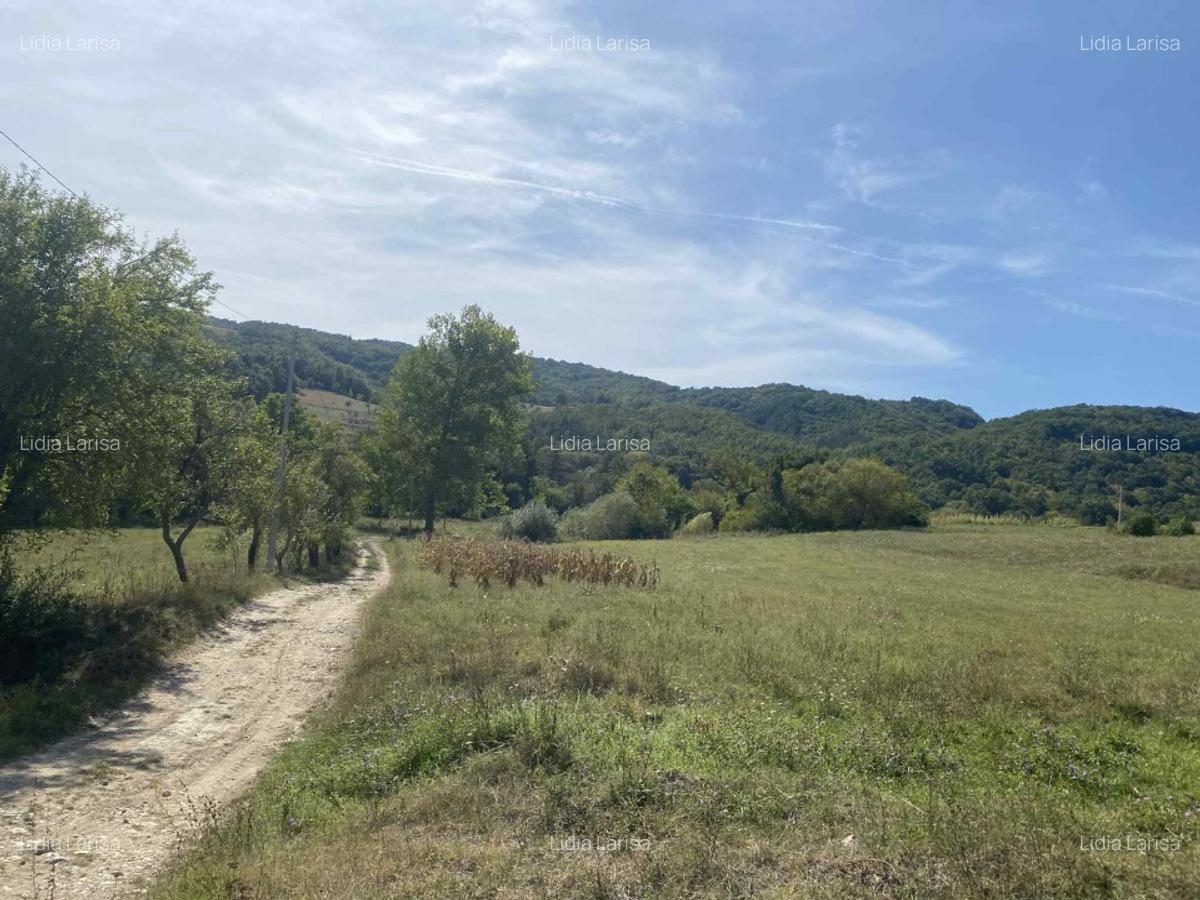 Casa de vanzare+teren - 7