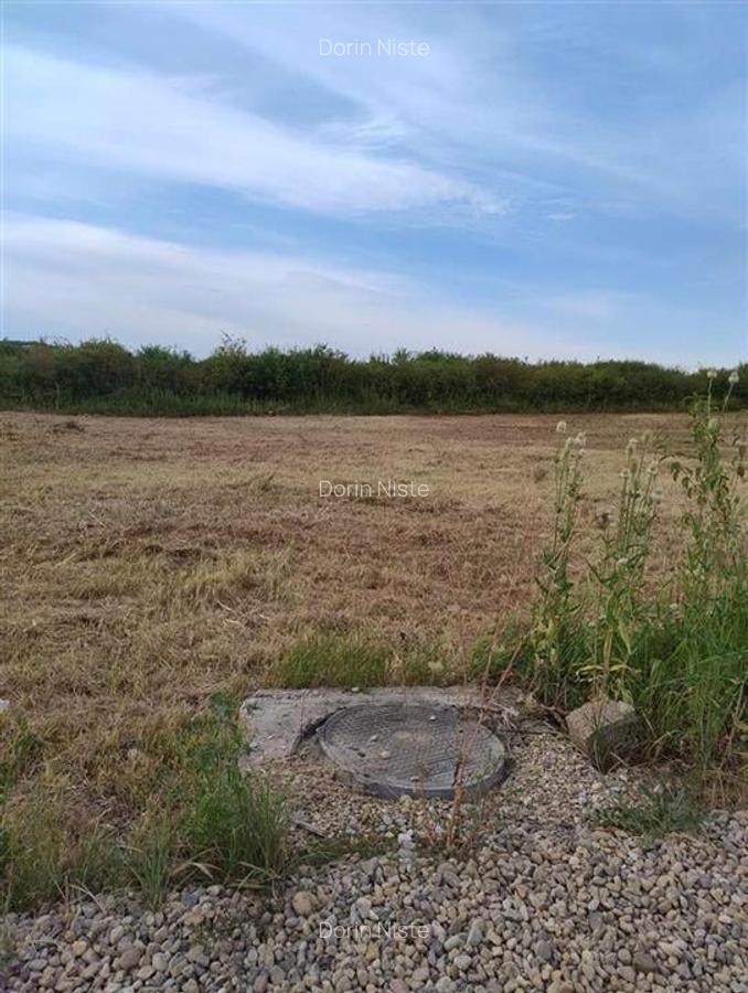 RECO Teren intravilan, Paleu - 2