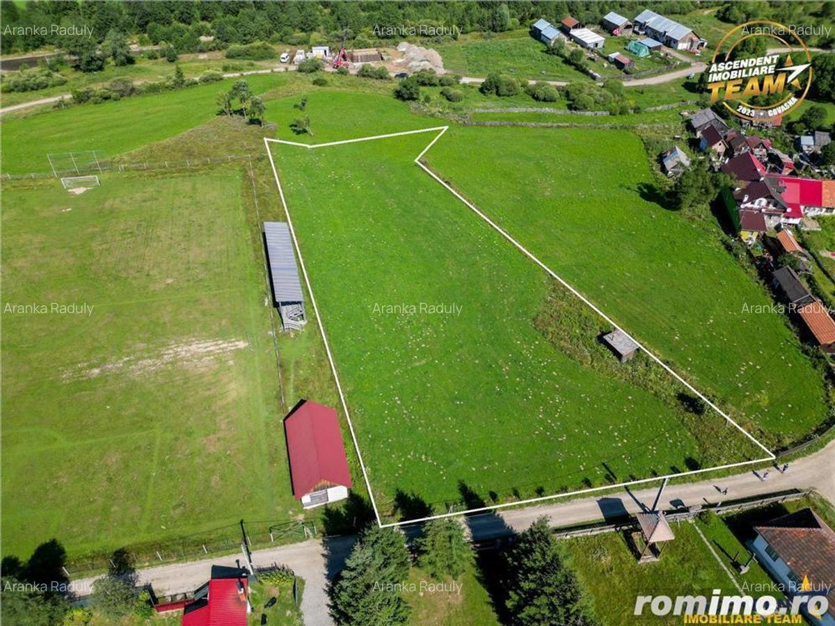 FILM! Context favorabil:Teren intravilan, 5.500mp, zona pitoreasca Comandau - 3