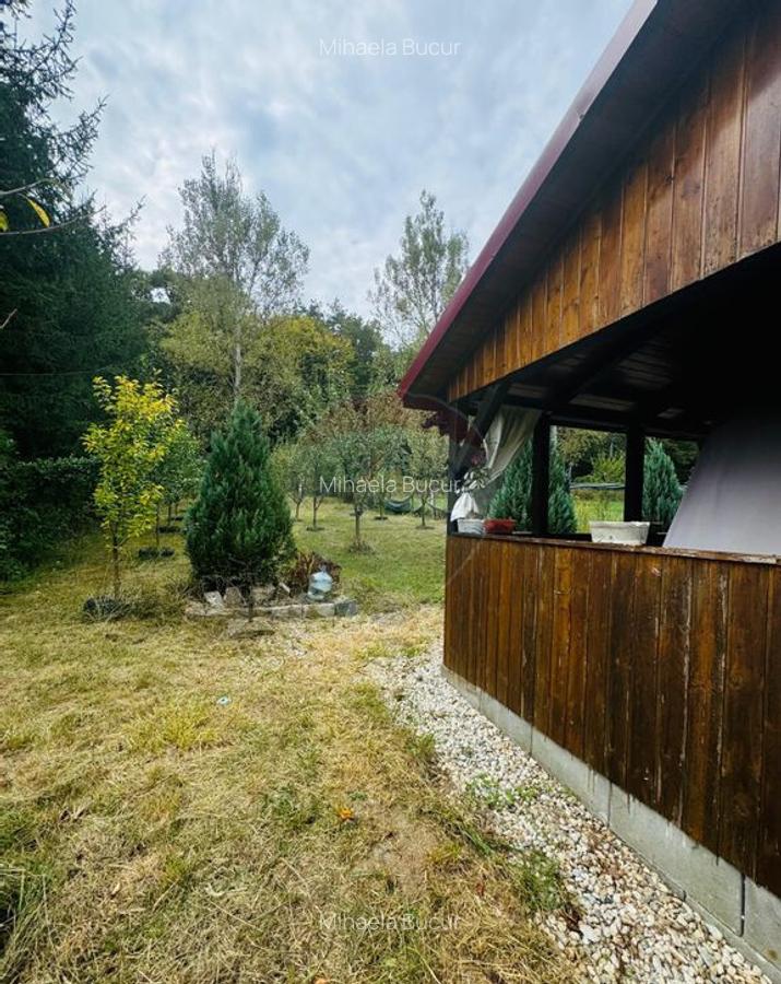 Teren Drumul Buzdului cu o cabana mica - 4
