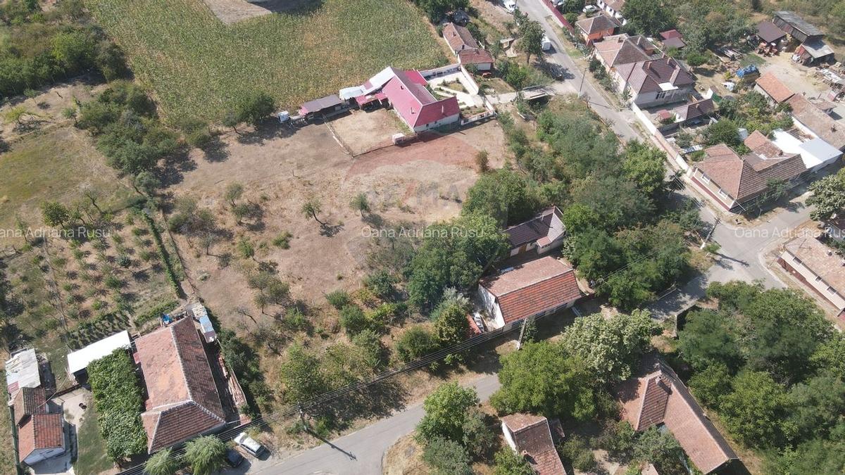 Teren pentru casa in Siria pe Soseaua spre Cetate - 7