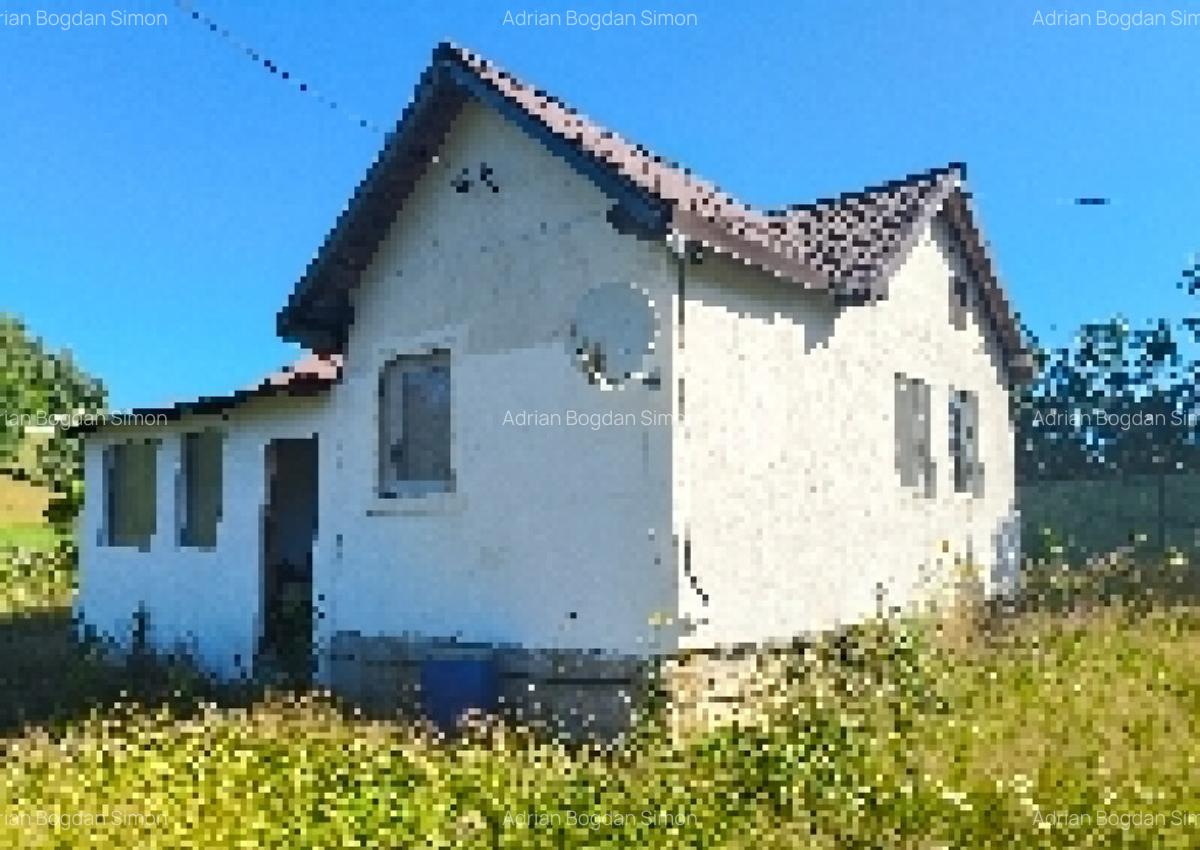 Proprietar casa+teren in sat Bani?a, jud. Hunedoara - 2