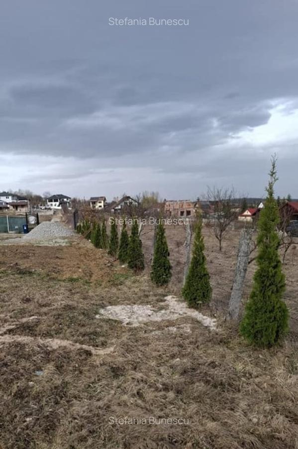 Teren intravilan | 1000 mp | de vanzare- Tocile, Sadu - 3