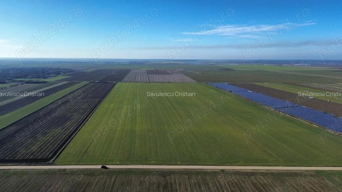 Vanzare teren. Oportunitate investitie, Jud.Giurgiu, Valter Maracineanu - 4