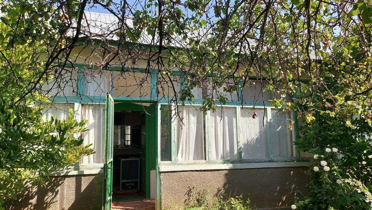 Ralesti - 5 Ralesti - 5