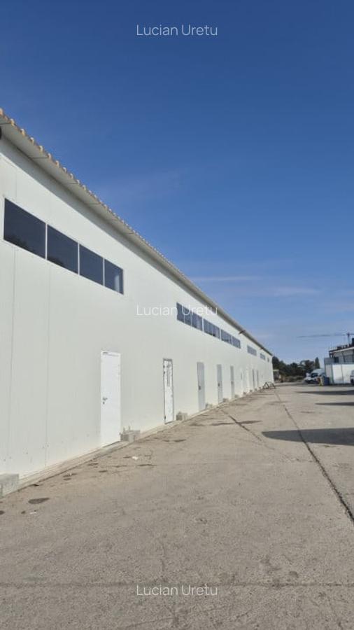 HALA | HALTA TRAIAN | SERVICE | DEPOZITARE - 4