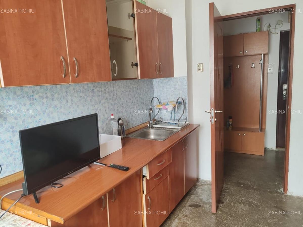 Apartament cu 2 camere decomandat, mobilat în Craiter - 10