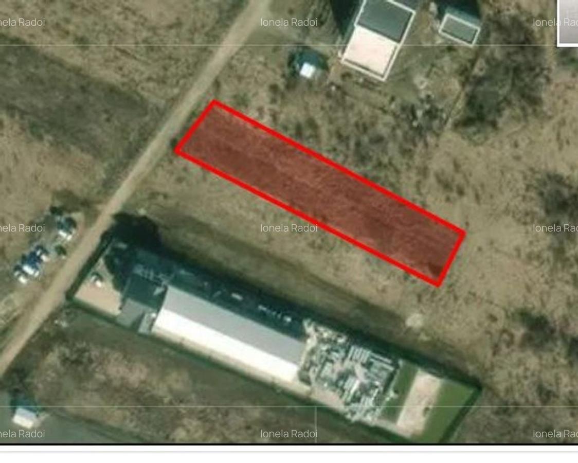 Teren Industrial  acces dublu Magurele  si Centura Bucuresti vanzare& inchiriere - 1