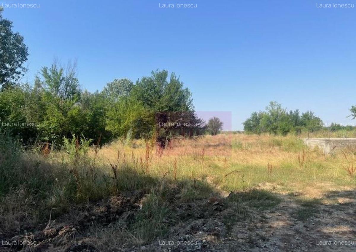 Teren Clinceni- Ordoreanu- langa Dig. - 3