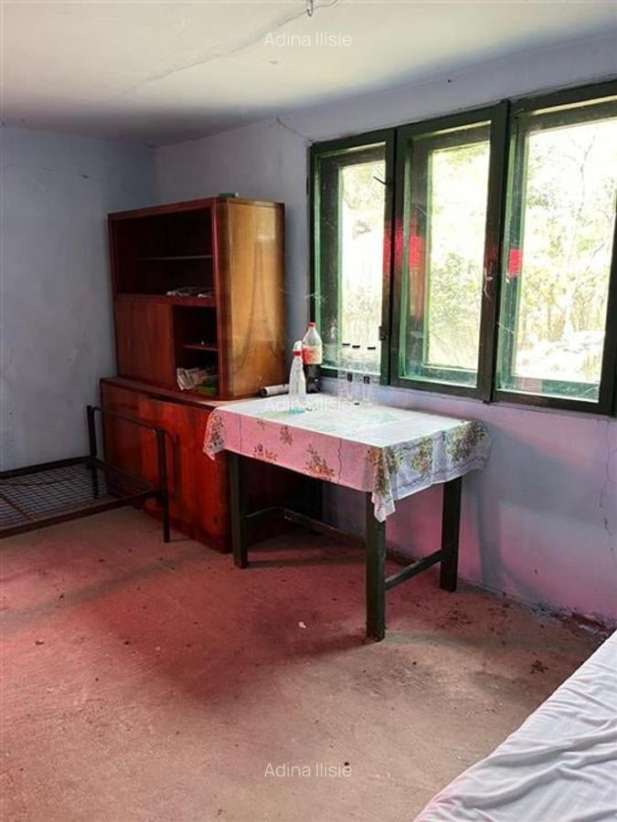 RECO Casa batraneasca cu teren generos la Lupoaia -Holod - 8