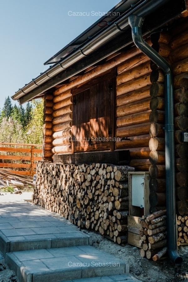 1140mp si cabana Obarsia Lotrului Transalplina 3km partia ski, TOATE UTILITATILE - 10