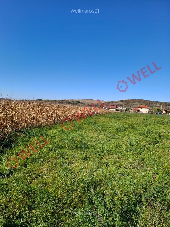 📢 De vânzare teren în Sântana de Mureș, pe strada Sportivilor! - 7