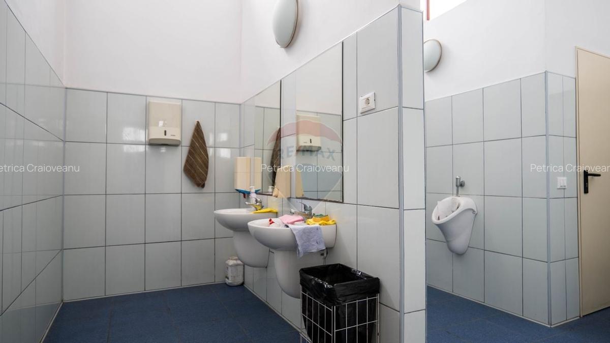 Oportunitate de investitie-vanzare spatiu industrial 6500mp, Cernica - 30