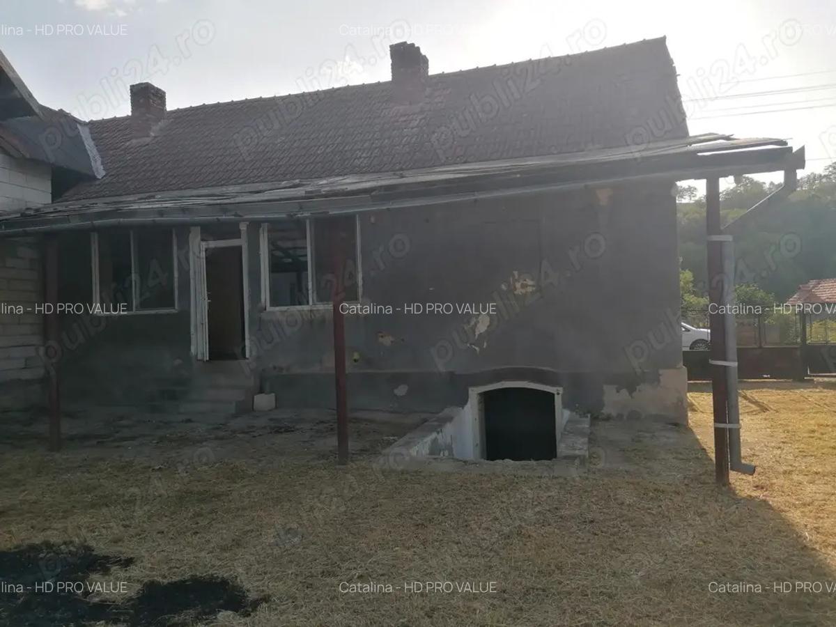 Casa cu teren de vanzare - sat PE?TEANA - 4