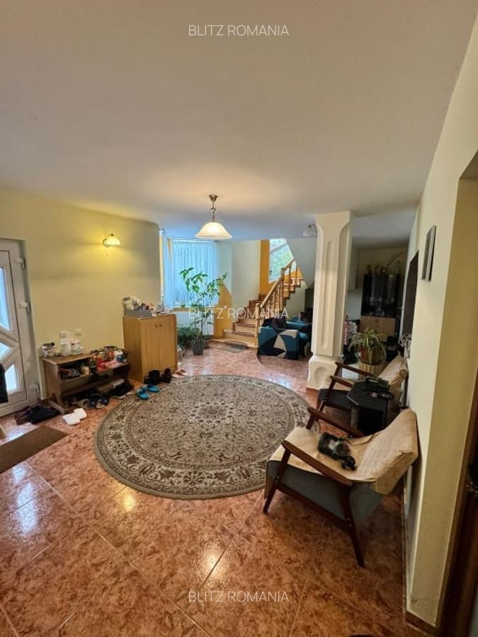 CASĂ DE VIS SAU AFACERE DE SUCCES - BAIA SPRIE - 15