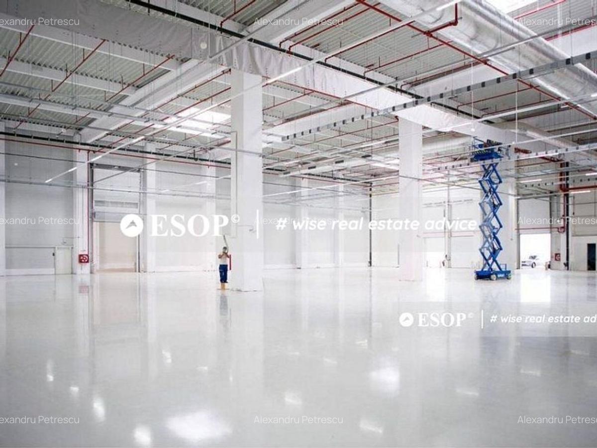 CTPark Pitesti, hale productie, depozitare, logistica, 1150 - 12095mp - 3