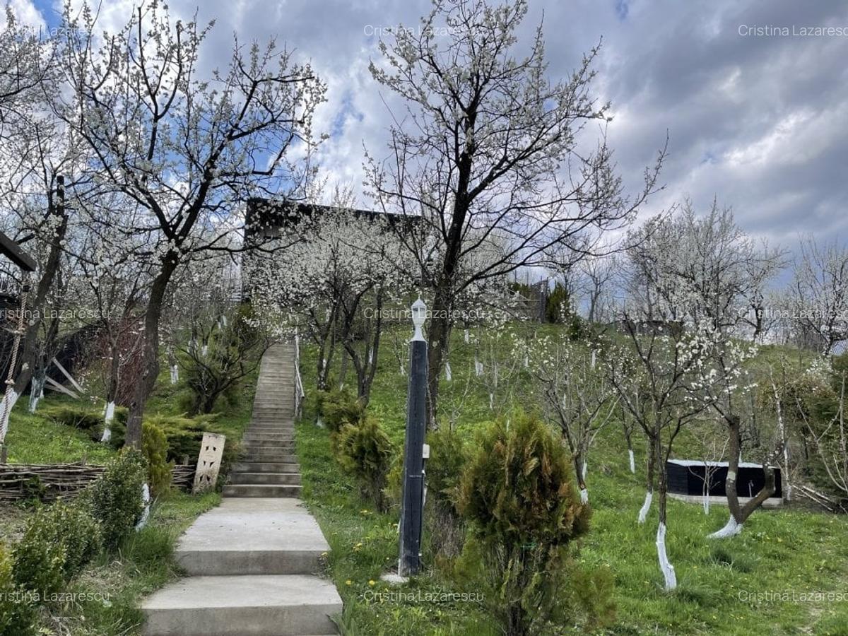 Casa de vacanta /Vila panoramica Provita de Jos - 4