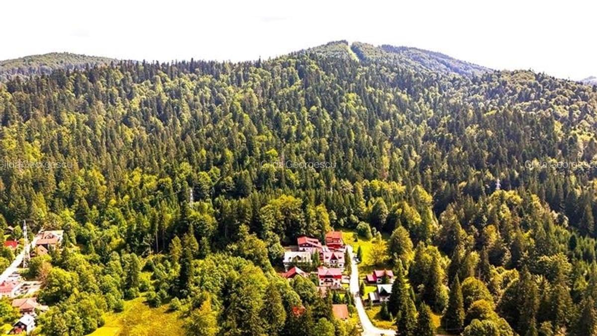 FILM! Refugiu de vacanta, cu foisor, gradina si muntii in zare, Predeal - 7