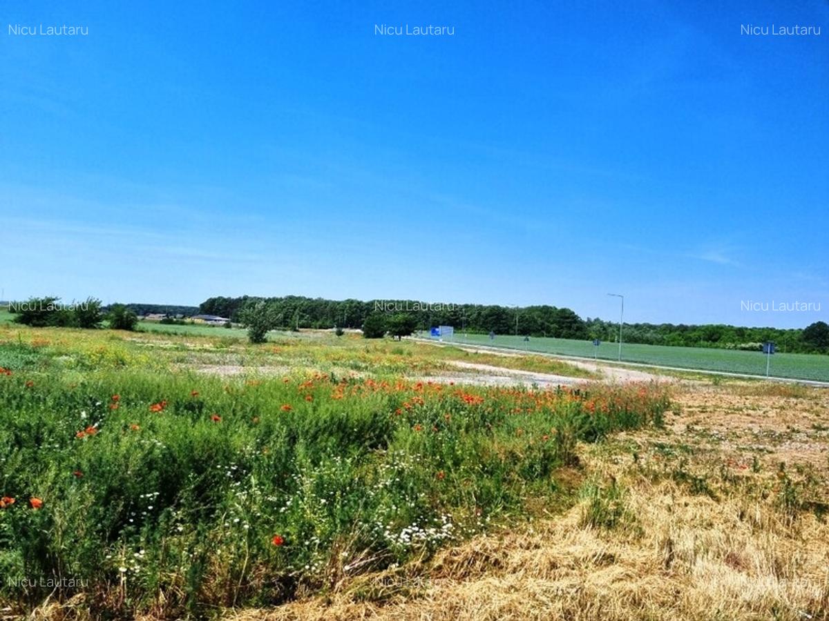 Vanzare Teren intravilan Balotesti Saftica 10000mp - 8