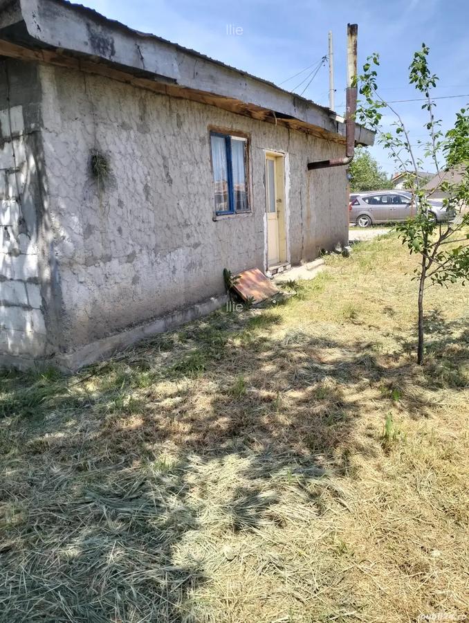 Casa de vanzare Baneasa - 8