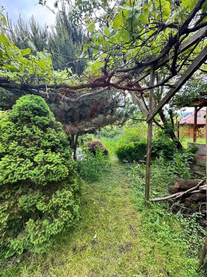 Casa / Vila cu 3 camere de vanzare in zona Vest - 11