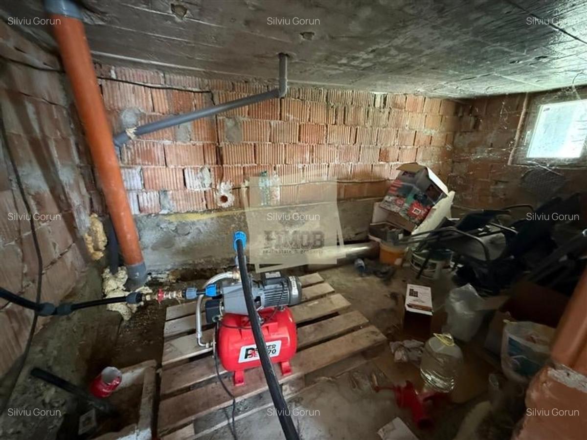 Casa individuala cu 2 camere si 495 mp teren in Sura Mare - 7