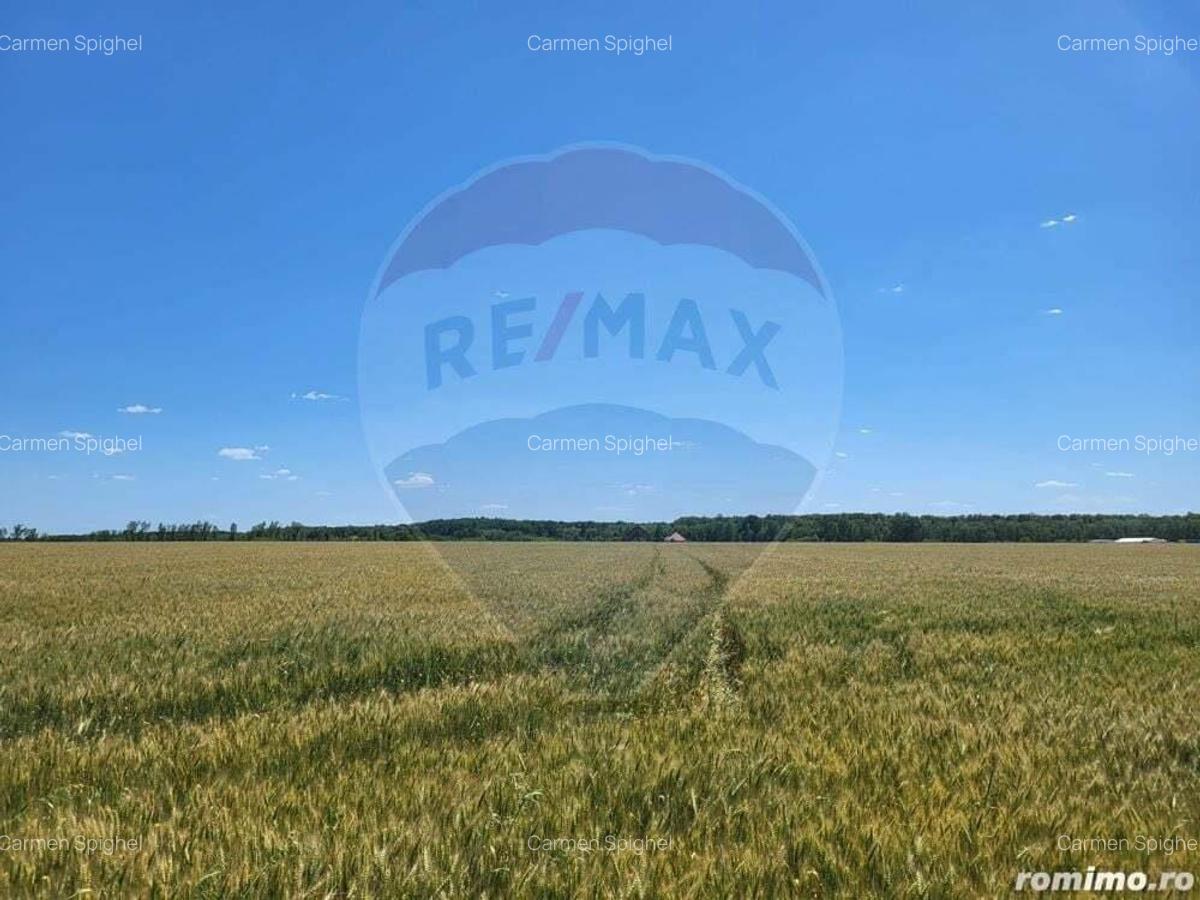 Teren intravilan 36500 mp Ciolpani, f.s 105 ml. - 1