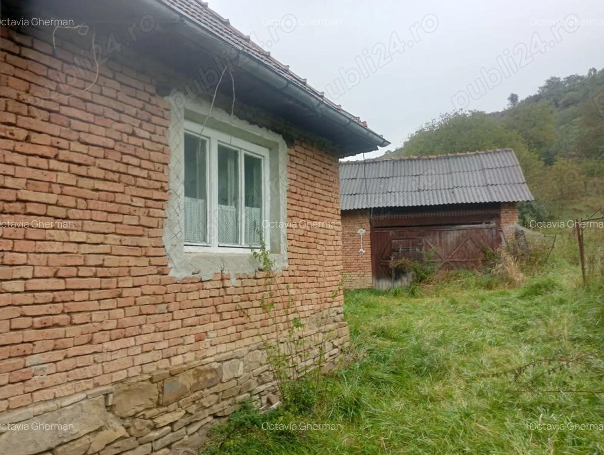 Se vinde proprietate cu gradina in sat ?entea comuna Chiochi? - 5