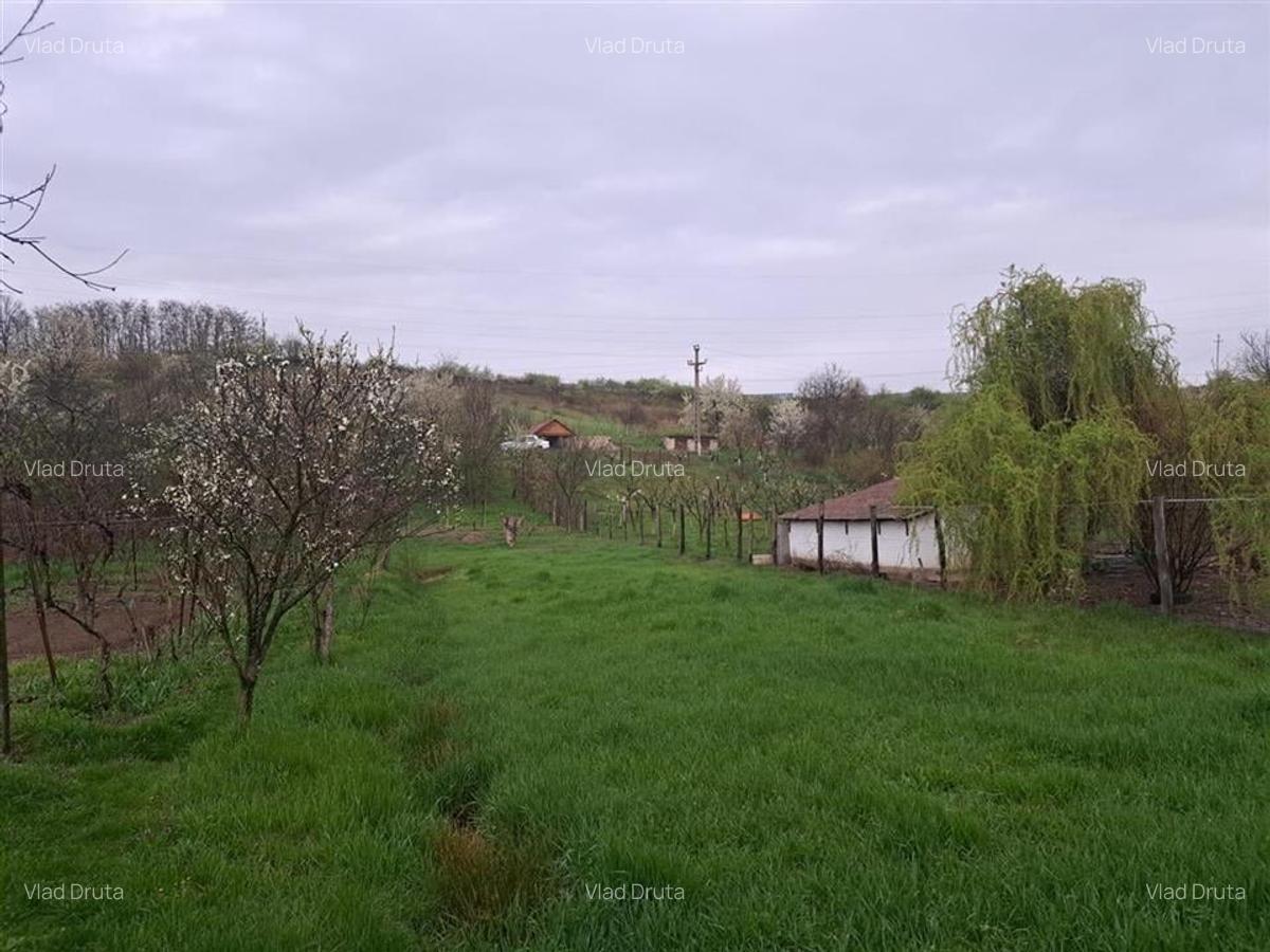 Apartament cu 3 camere decomandat în Voivozi (Popești) - 14