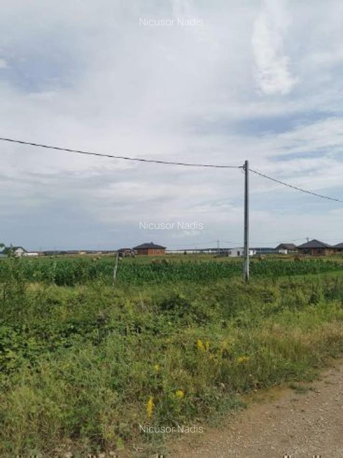 Teren intravilan pentru DEZVOLTATORI - 3