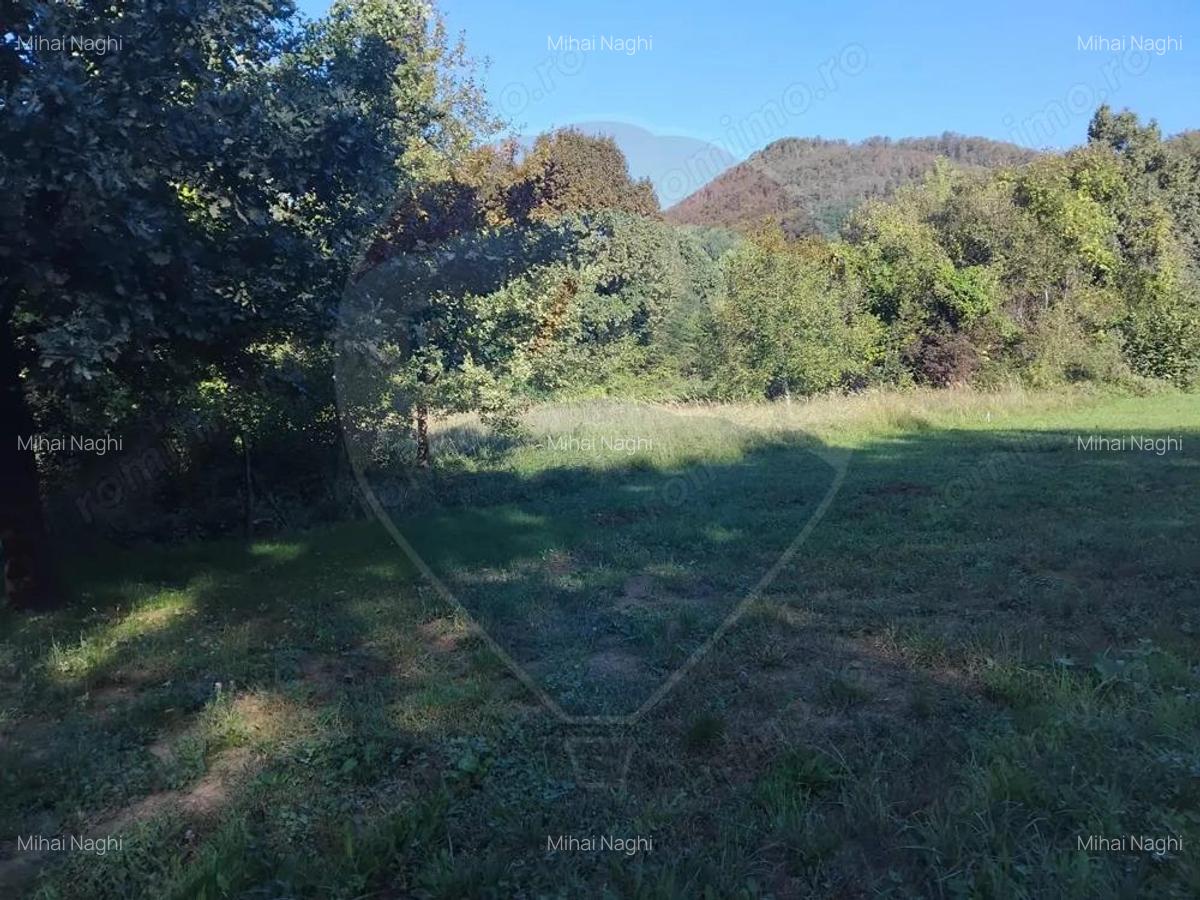 Teren 1,552mp Cicarlau - 5