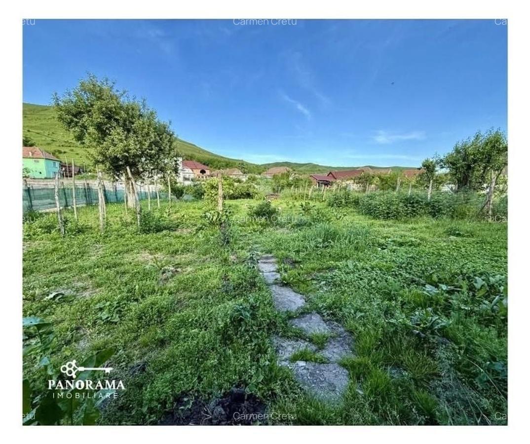 Casă tradițională la țară, în Dârlos - 18