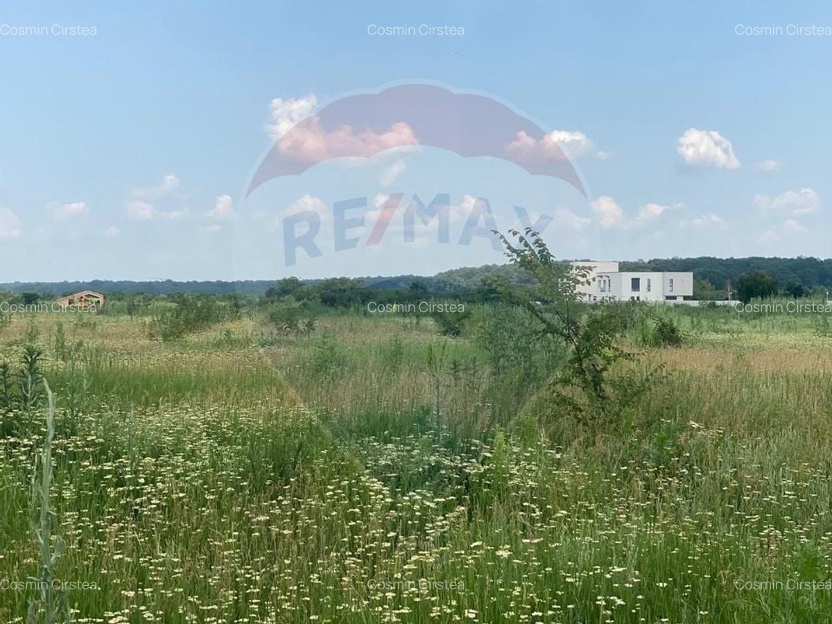 DE VANZARE Teren 5,000mp Sisesti Drumul Piscul Mosului - 20
