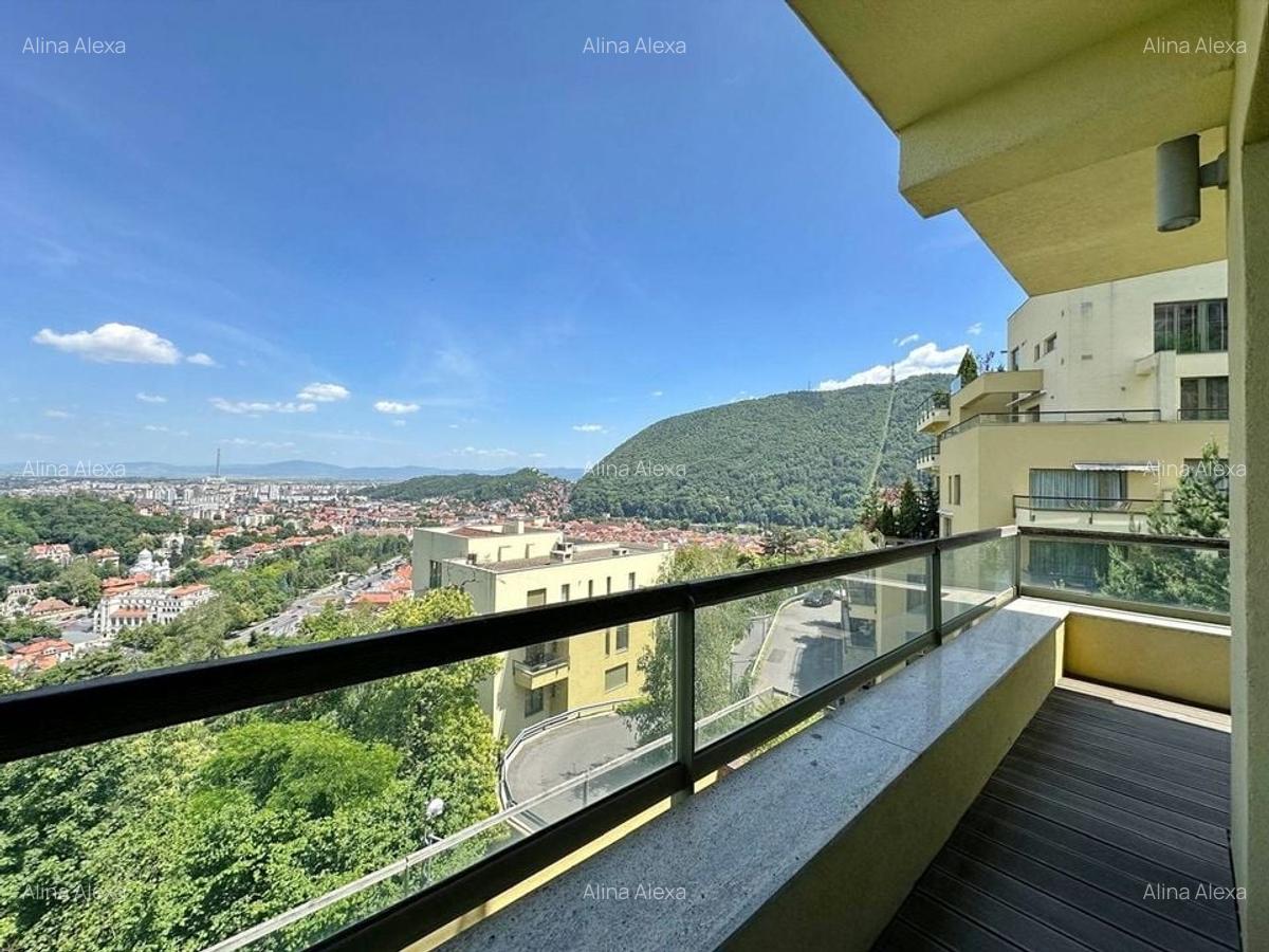 Apartament cu 4 camere decomandat, mobilat în Drumul Poienii - 17