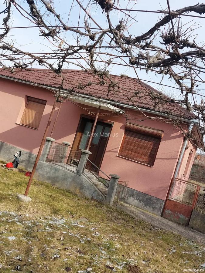 Vand casa in Valea Crisului - 1