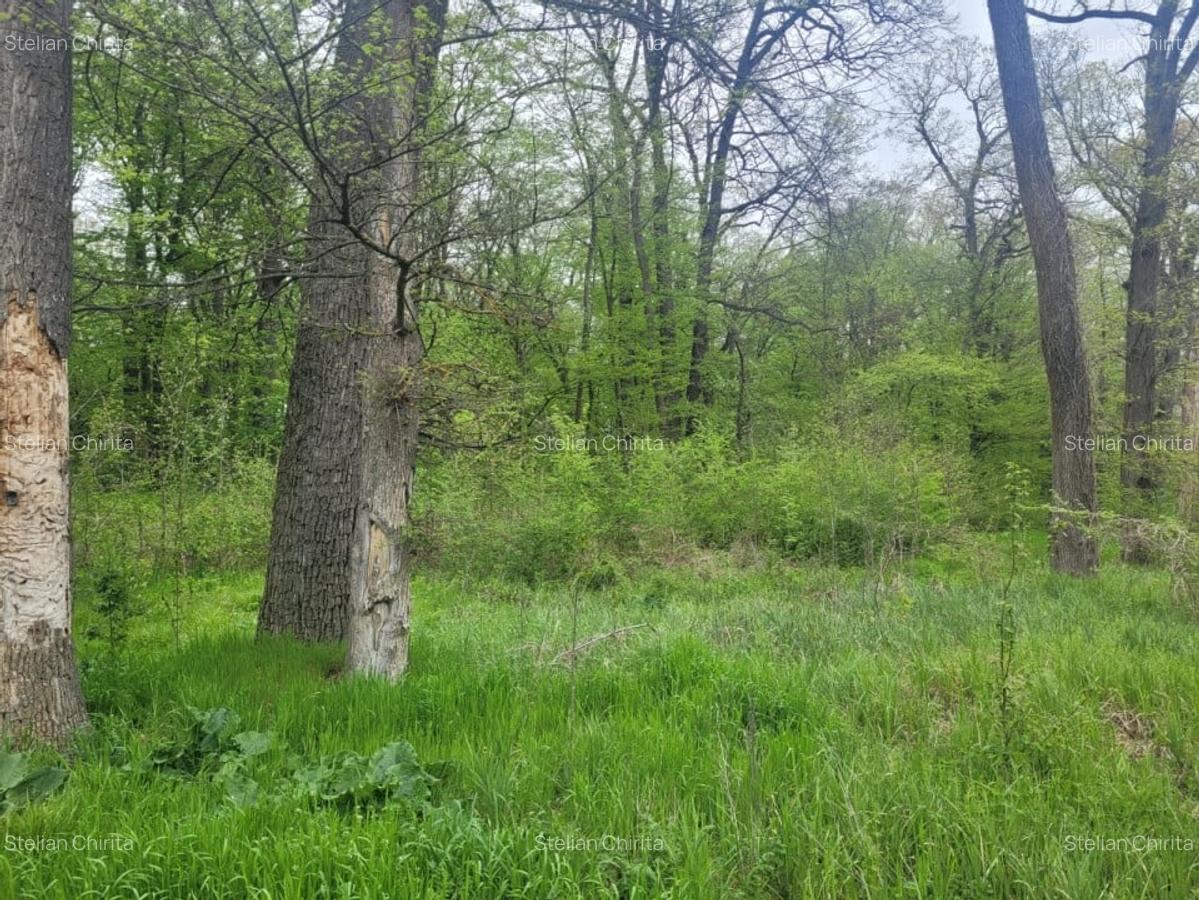 SUPER  OCAZIE TEREN 4000MP DE VANZARE IN SNAGOV CU DESCHIDERE LA LACUL SNAGOV - 16