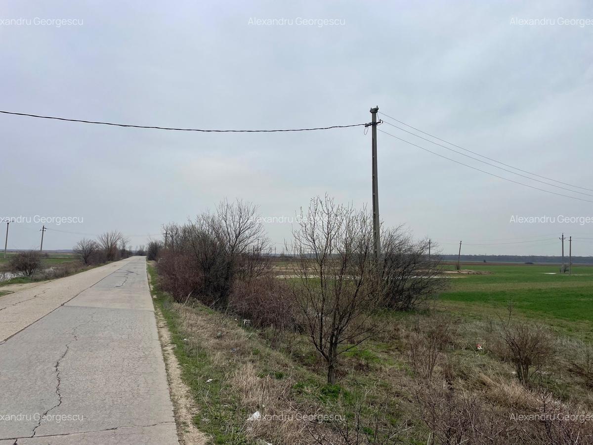 Giurgiu-Marsa Teren Agricol 8.5 Ha - 7