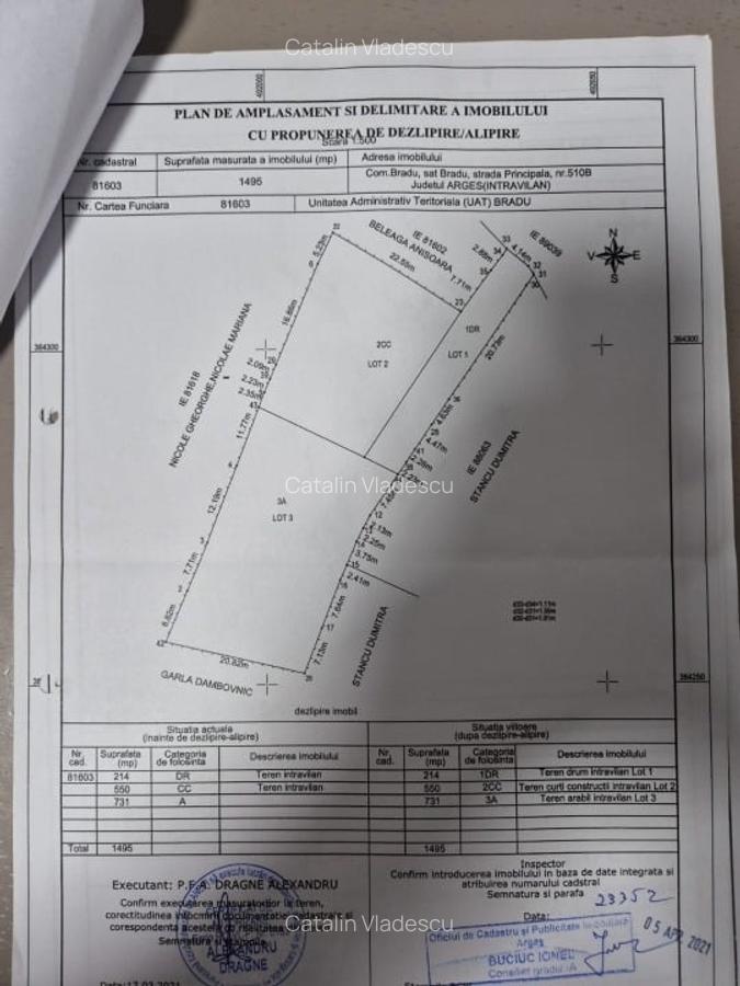 Teren Bradu (vis a vis de monument) - 4