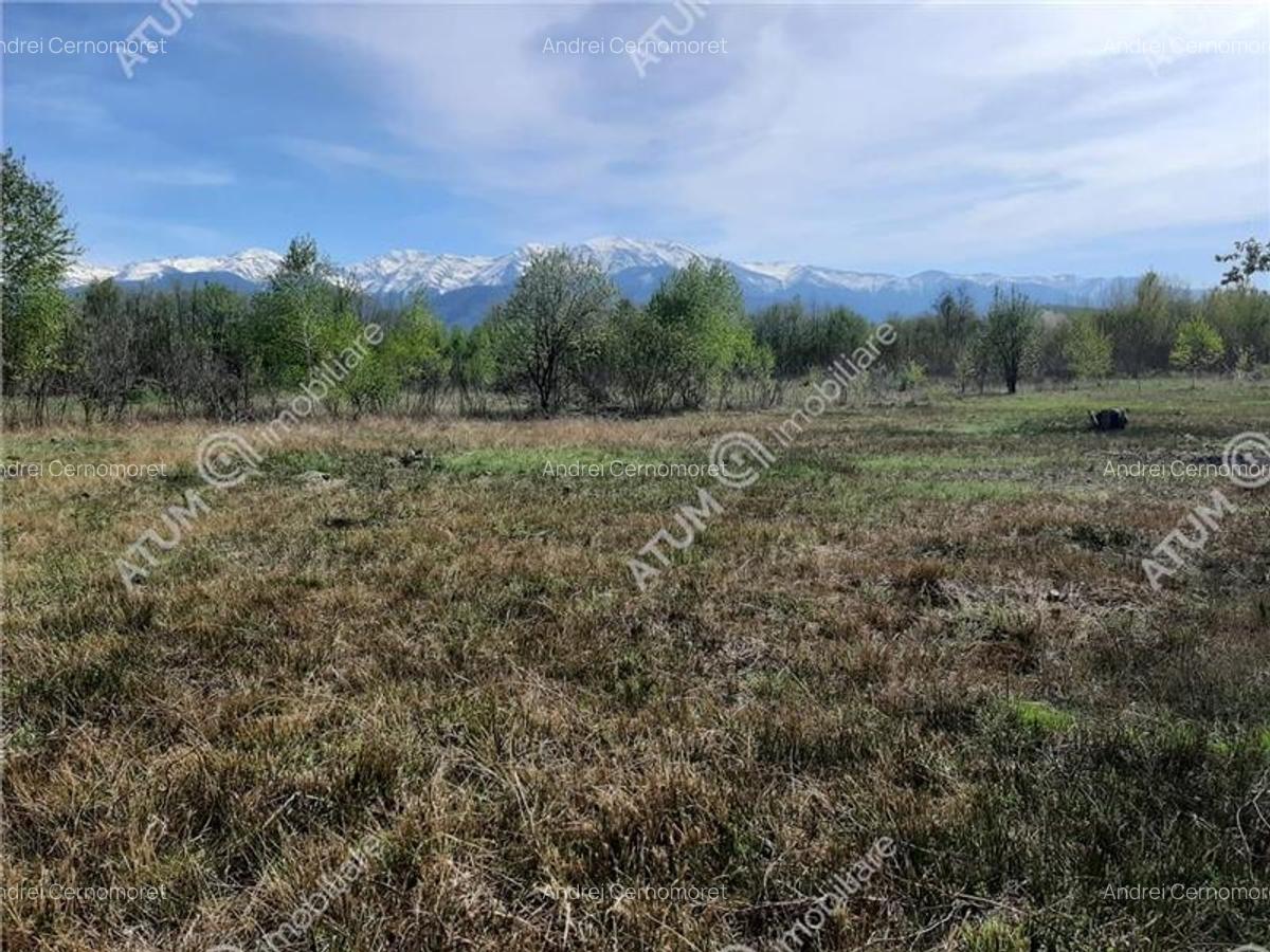 Teren intravilan 2700 mp pe Valea Avrigului localitate Avrig - 4