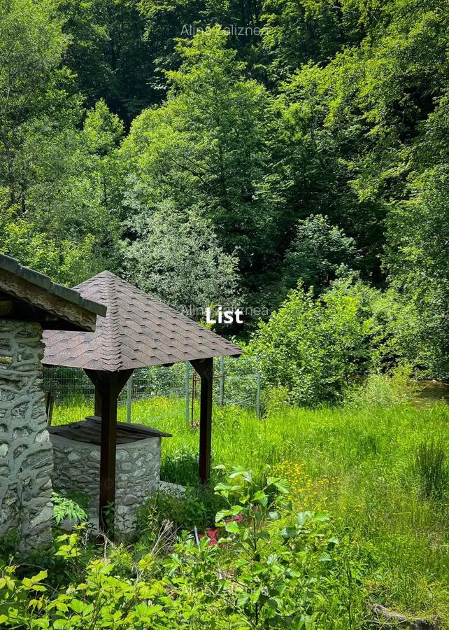 Casuta de vacanta in mijlocul naturii cu piscina - 11