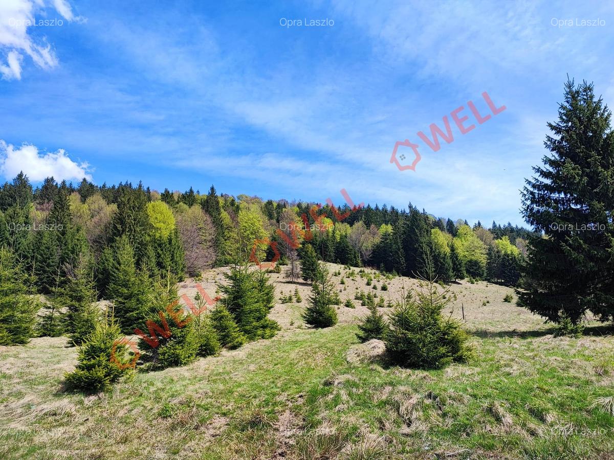 Casă cu 6 camere în Comandău - 5