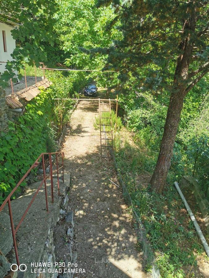 Vila Luminis & Casa Bobi isi cauta noi proprietari - 3