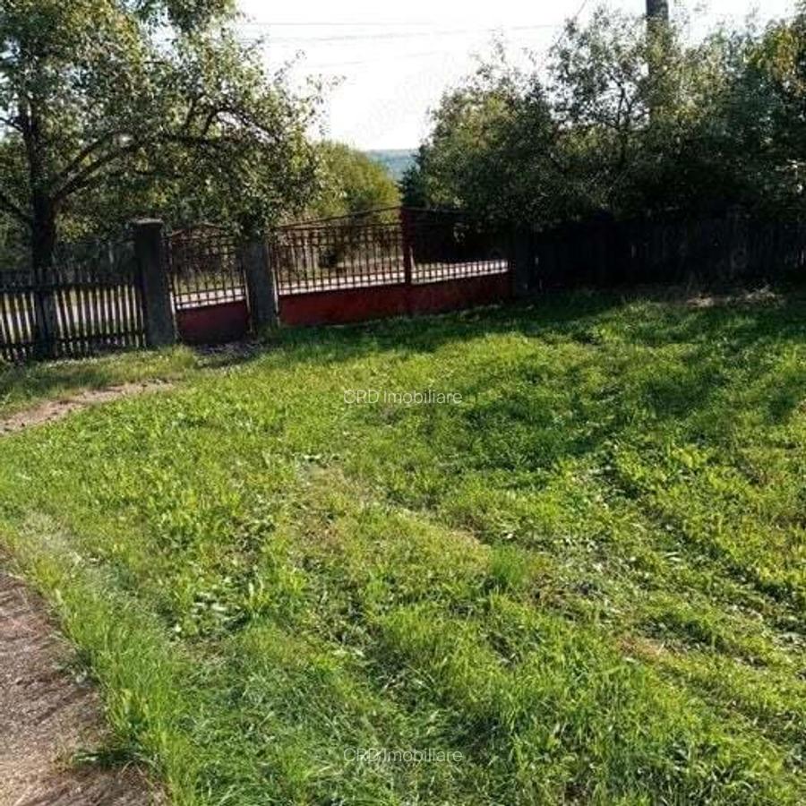 Loc. Basesti (jud. MM) casa de vanzare cu 8.000 mp teren - 2