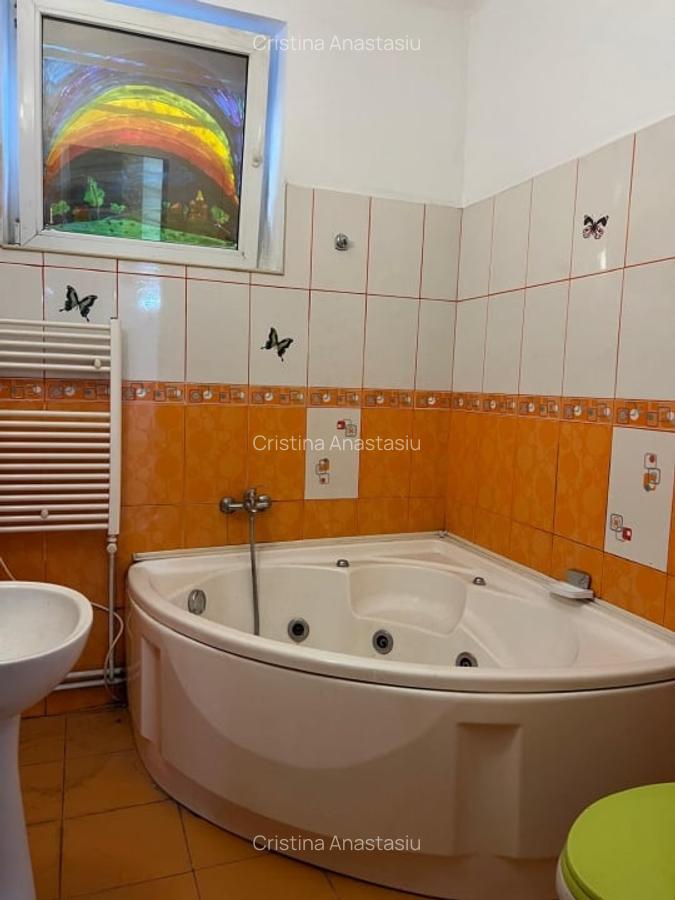 Stirbei Voda stradal-Schitu Magureanu-Cismigiu, - 9