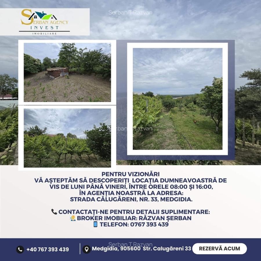 Casă de Vis în Satul Rasova, Constanța - 3