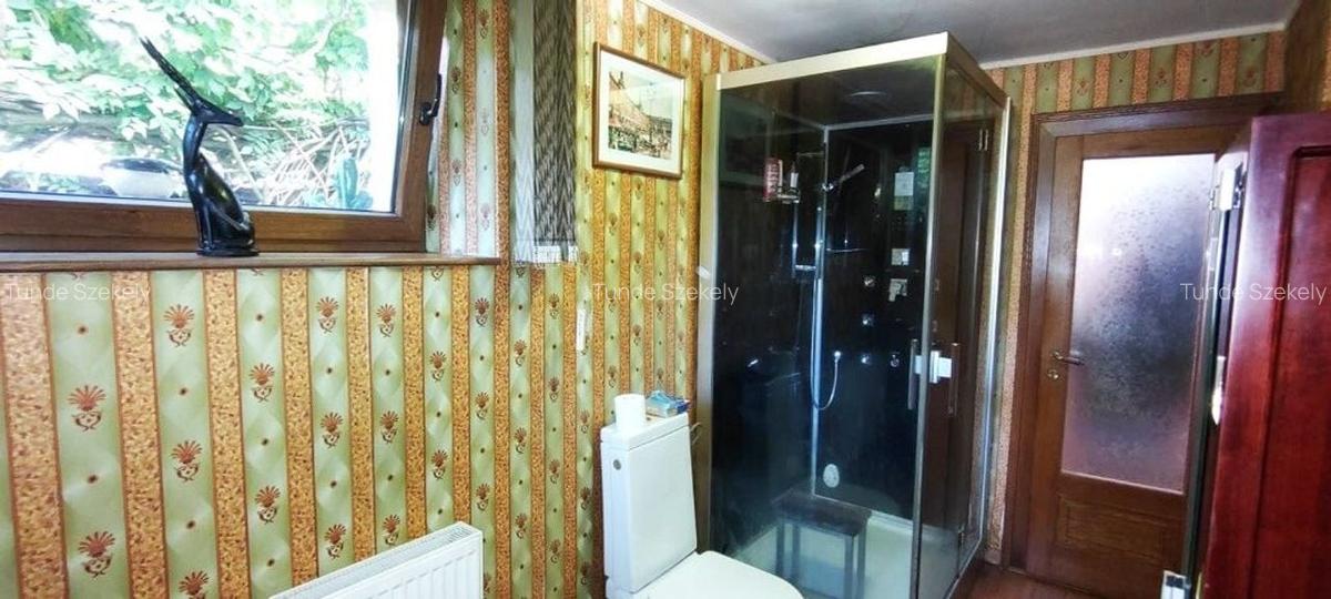 Apartament rustic, deosebit de 98 mp,  cu gradina, in Andrei Muresanu - 13