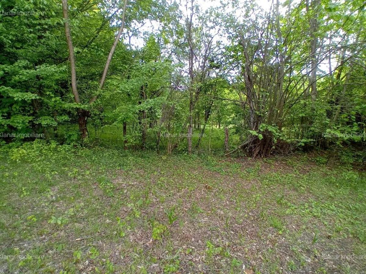 Teren de vanzare in Bradulet Arges - 9