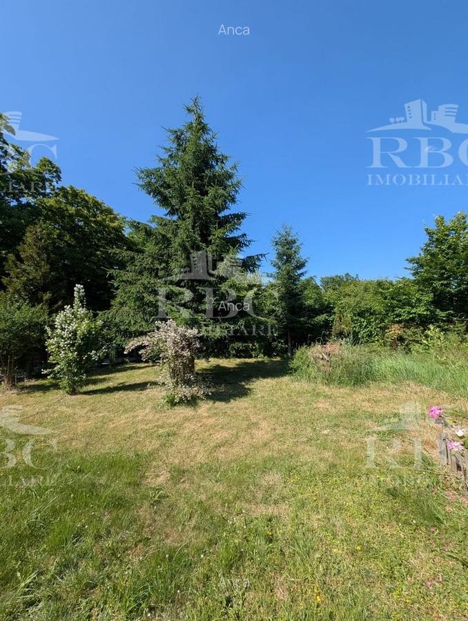 Teren pentru constructie casa in Faget - 7